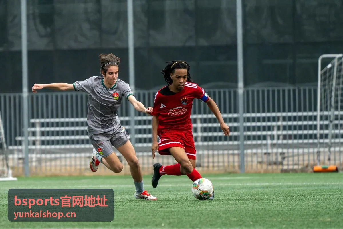 bsports官网地址赛事数据接口支持直播平台