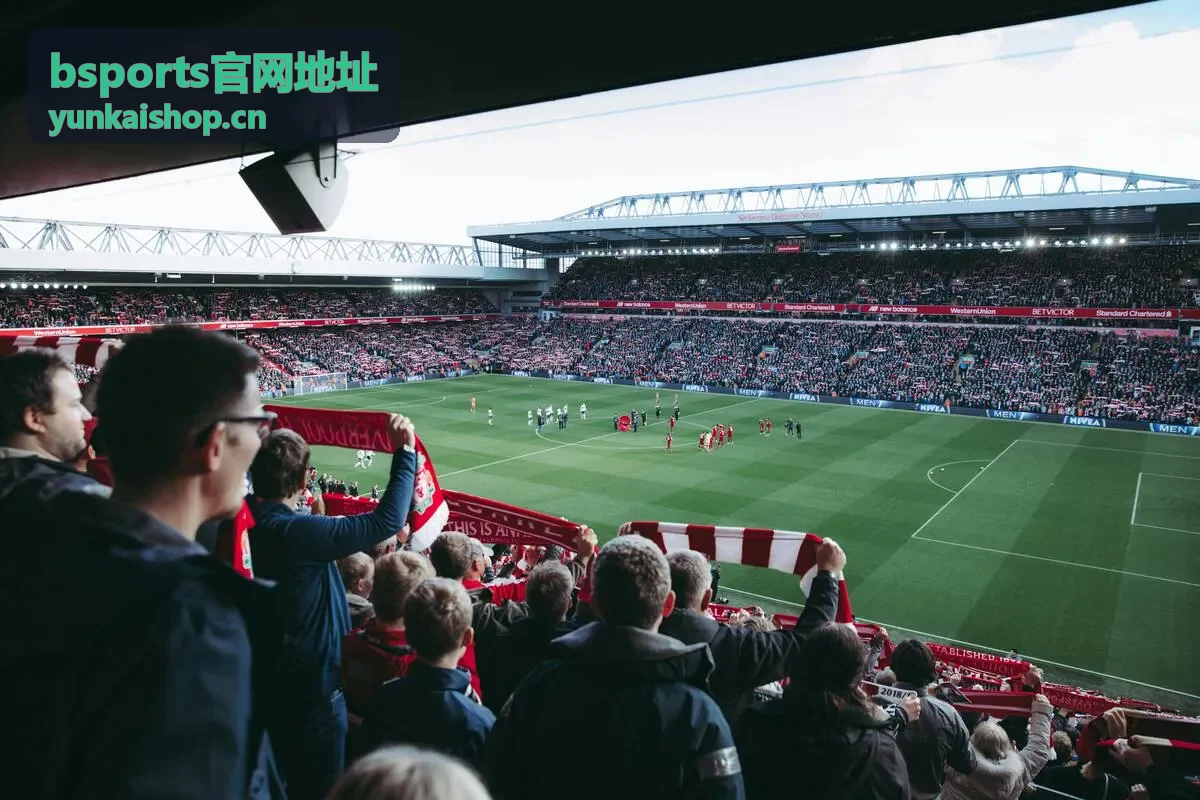 bsports官网地址 体育数据服务