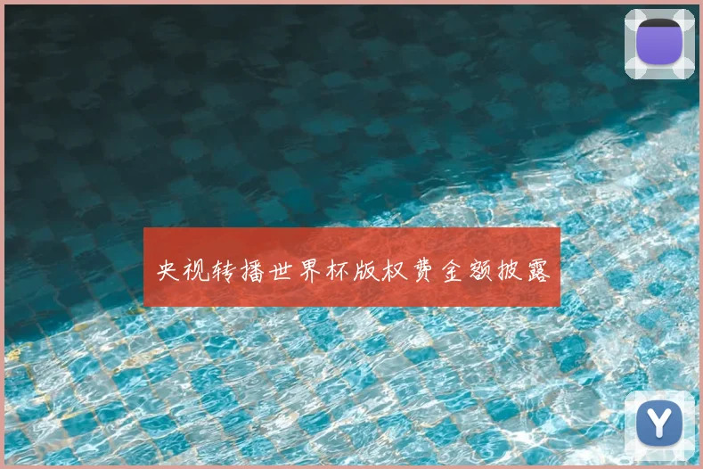 央视转播世界杯版权费金额披露