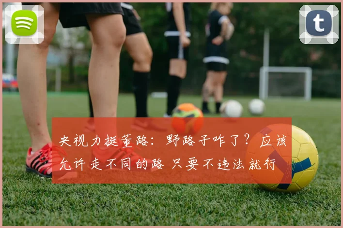 央视力挺董路:野路子咋了?应该允许走不同的路 只要不违法就行