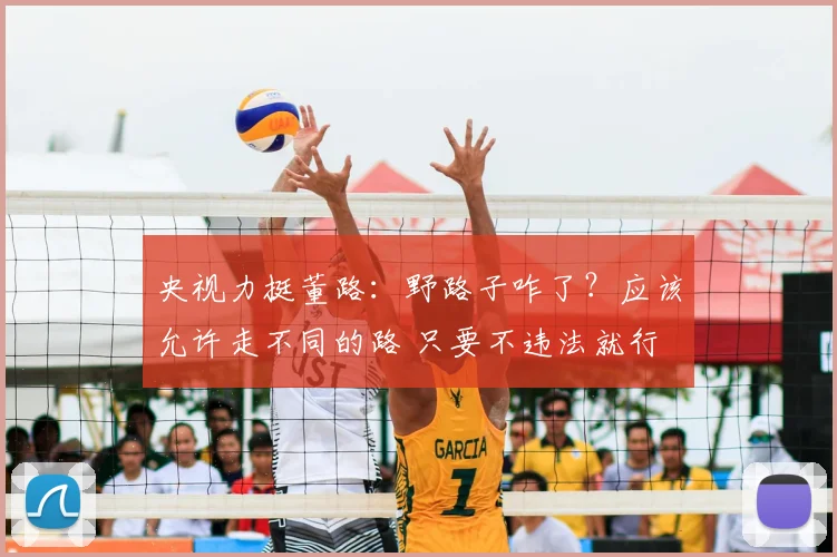 央视力挺董路:野路子咋了?应该允许走不同的路 只要不违法就行