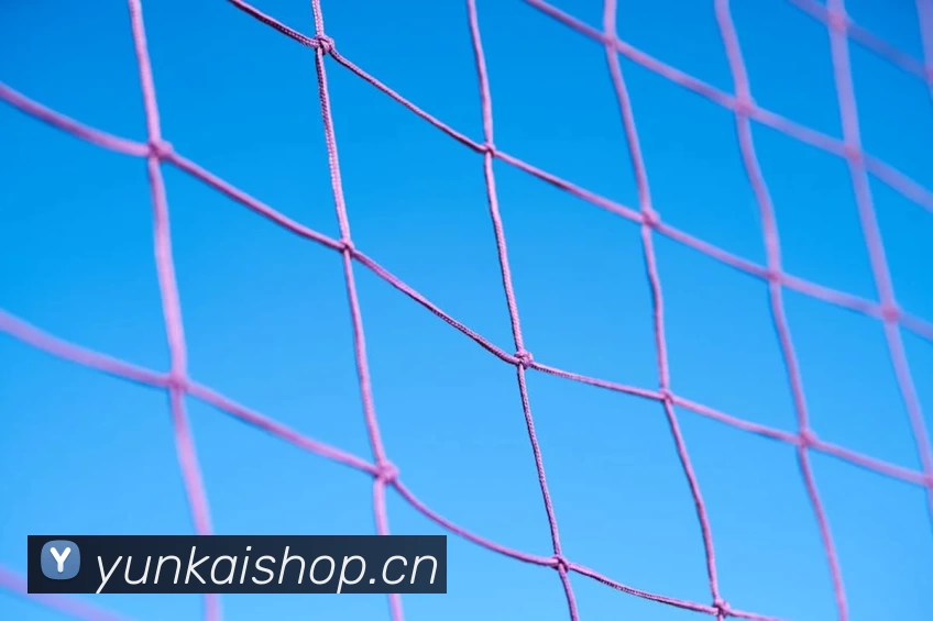 世界杯在线观看官网APP 体育赛事宣传图